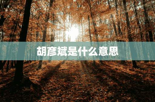 胡彦斌是什么意思